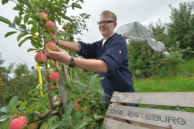 Ausbildung im Gartenbau, Schwerpunkt Obstbau