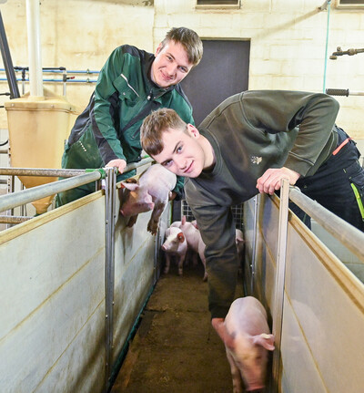 Tierwirt Schweinehaltung