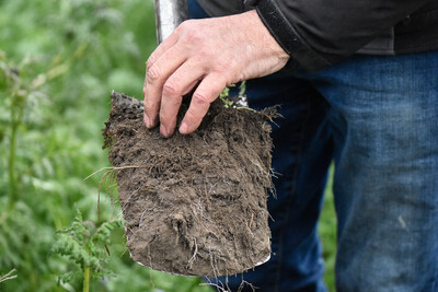 Bilder einer Ausbildung als Landwirt/in