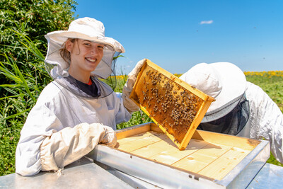 Bienenkontrolle