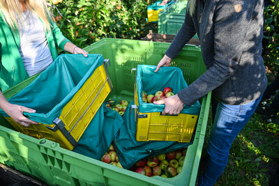 Ausbildung Obstbau