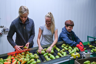 Ausbildung Obstbau