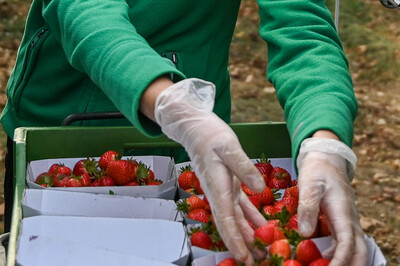 Ausbildung Obstbau