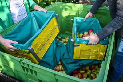 Ausbildung Obstbau