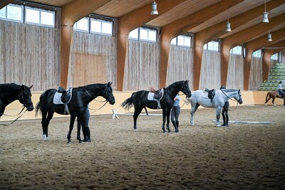 Reitunterricht in der Halle