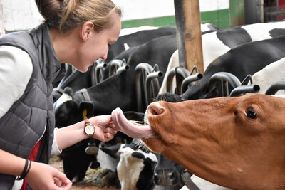 Bilder einer Ausbildung zum Landwirt